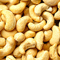 cashew_t