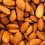 almond_t