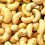 cashew_t